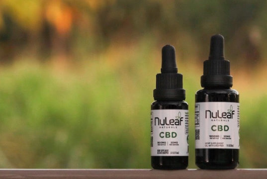 CBD Oil